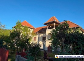 casa-stil-neoromanesc-7-cam-teren-1150-mp-in-godeni-arges