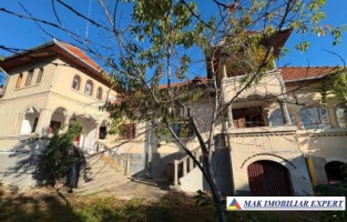 casa-stil-neoromanesc-7-cam-teren-1150-mp-in-godeni-arges-5