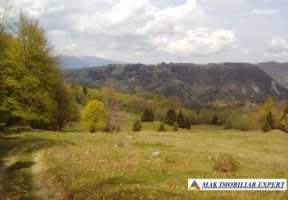 teren-911-mp-intravilan-in-dambovicioara-arges