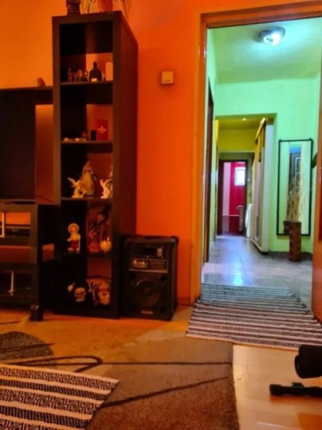 malu-rosu-3cam-cf1a-dec-24-gft-intab-83500-euro-2