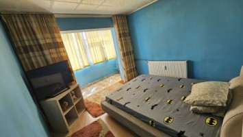 malu-rosu-3cam-cf1a-dec-24-gft-intab-83500-euro-19