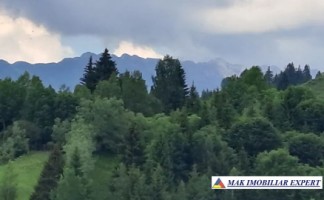 teren-6500-mp-intravilan-in-valea-cheii-dambovicioara-arges-11