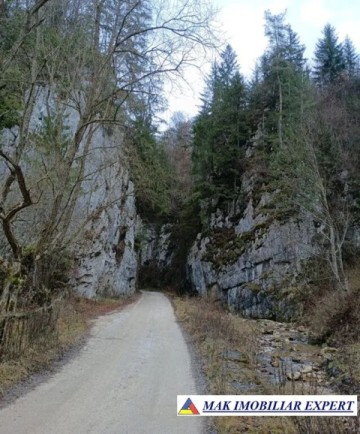teren-6500-mp-intravilan-in-valea-cheii-dambovicioara-arges-19