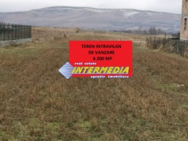 teren-intravilan-4200-mp-de-vanzare-alba-micesti-cu-utiliati-langa-2