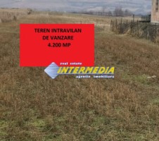 teren-intravilan-4200-mp-de-vanzare-alba-micesti-cu-utiliati-langa