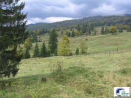 predeal-valea-rasnoavei-1