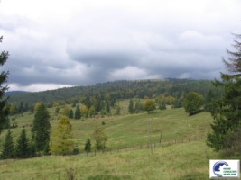 predeal-valea-rasnoavei-4