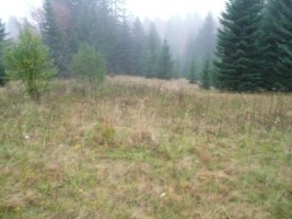 teren-intravilanvalea-rasnoavei-1