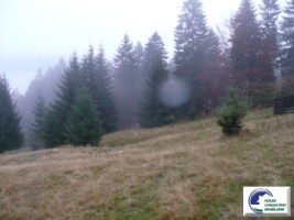 teren-intravilanvalea-rasnoavei-2