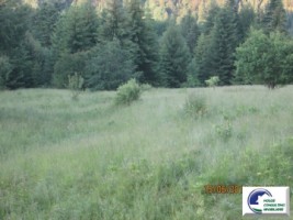 predeal-teren-intravilan-de-vanzare-9