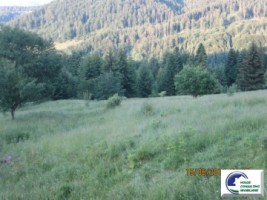 predeal-teren-intravilan-de-vanzare-3