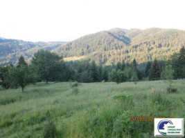 predeal-teren-intravilan-de-vanzare-7
