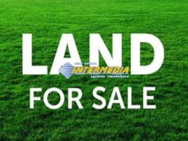 teren-intravilan-de-vanzare-1000-mp-alba-iulia-zona-cetate-3