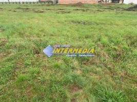 teren-intravilan-710-mp-de-vanzare-in-zona-cetate-piata-cu-utilitati