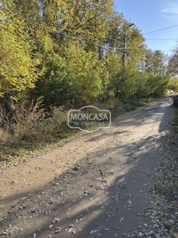 vanzare-teren-intravilan-s-1150-mp-deschidere-19-ml-6