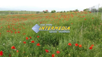 vanzare-976-mp-teren-intravilan-in-zona-oarda-alba-iulia-2