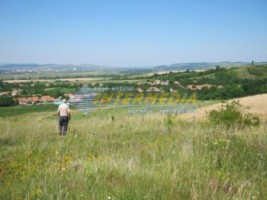 teren-de-vanzare-zona-oarda-920-mp