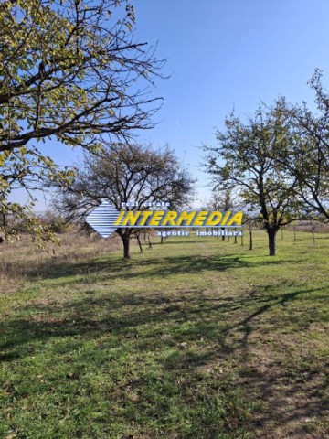 de-vanzare-casa-4-camere-cu-teren-1430-mp-alba-iulia-7