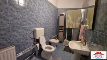 casa-in-zona-titulescu-200000-euro-8