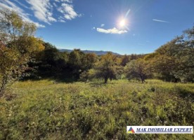 teren-13-ha-extravilan-in-nucsoara-arges-4
