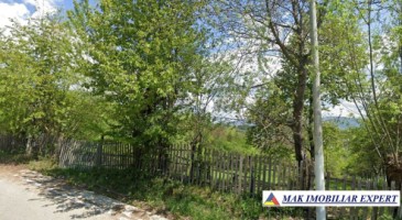 teren-13-ha-extravilan-in-nucsoara-arges-5