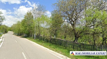 teren-13-ha-extravilan-in-nucsoara-arges-10