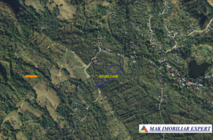 teren-13-ha-extravilan-in-nucsoara-arges-13