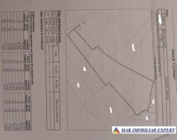 teren-13-ha-extravilan-in-nucsoara-arges-15