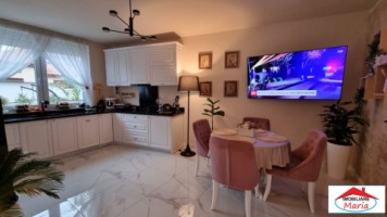 casa-moderna-zona-functionarilor-cu-curte-si-garaj-4