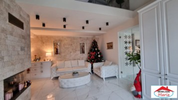 casa-moderna-zona-functionarilor-cu-curte-si-garaj-1