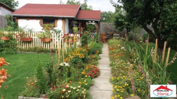 parte-de-casa-parter-cu-acces-auto-zona-cerbului-12