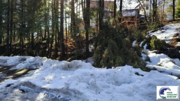 sinaia-teren-intravilan-ideal-pentru-investitiefurnica-1