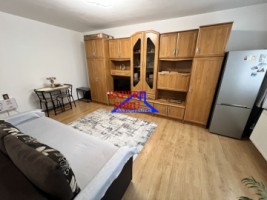 vand-garsoniera-renovata-pretabila-birou-zona-vasile-aaron-2