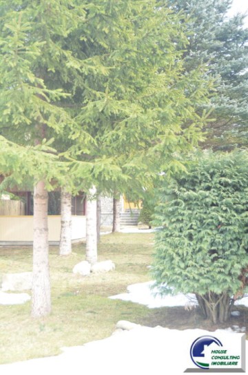 casa-de-vacanta-situata-in-busteni-piatra-arsa-1