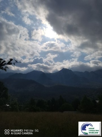 teren-intravilan-bustenizona-zamora-2