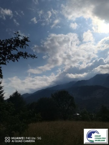 teren-intravilan-bustenizona-zamora-0