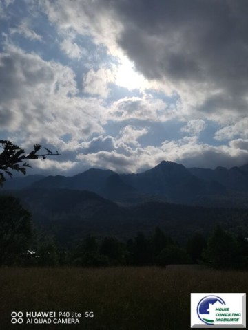 teren-intravilan-bustenizona-zamora-3