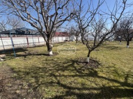 teren-800-mp-si-anexa-de-locuit-catamarasti-deal-8