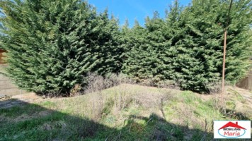 casa-cu-teren-421-mp-zona-titulescu-8