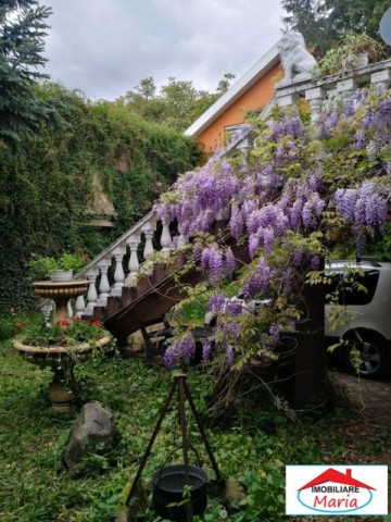 casa-solida-cu-teren-719-mp-in-piata-titulescu-8