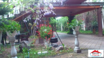 casa-solida-cu-teren-719-mp-in-piata-titulescu-13