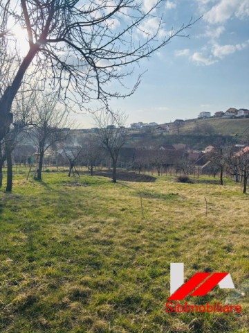 casa-saseasca-cu-teren-2000-mp-cu-dublu-acces-de-vanzare-in-hamba-26