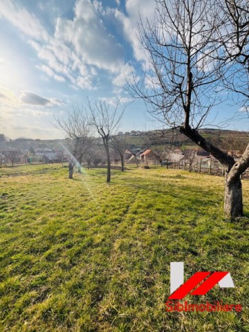 casa-saseasca-cu-teren-2000-mp-cu-dublu-acces-de-vanzare-in-hamba-29