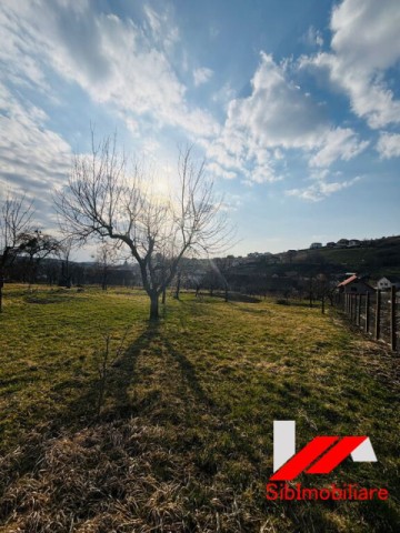 casa-saseasca-cu-teren-2000-mp-cu-dublu-acces-de-vanzare-in-hamba-30