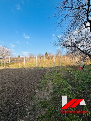 casa-saseasca-cu-teren-2000-mp-cu-dublu-acces-de-vanzare-in-hamba-32