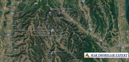 dublura-padure-de-vanzare-2