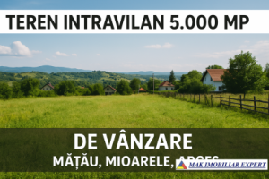 vand-teren-intravilan-5000-mp-in-matau-mioarele-arges