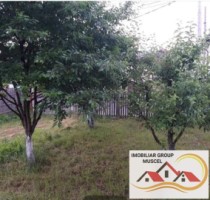 casa-3-camere-teren-800-mp-campulung-muscel-zona-flamanda-pret-135000-euro-negociabil-7