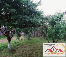 casa-3-camere-teren-800-mp-campulung-muscel-zona-flamanda-pret-135000-euro-negociabil-15