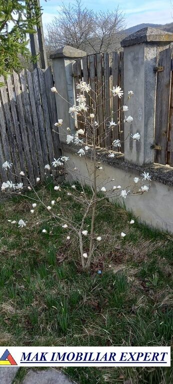 casa-2-camere-teren-1500-mp-de-vanzare-in-balilesti-arges-23